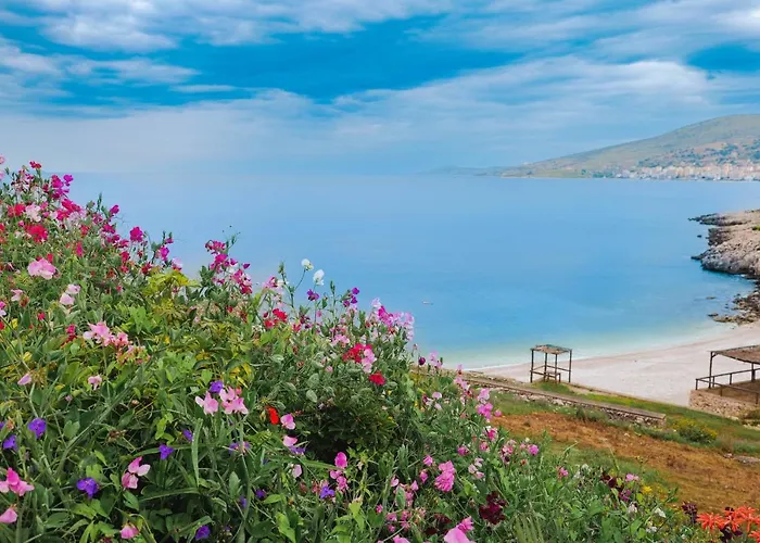 Armantis Daire Saranda