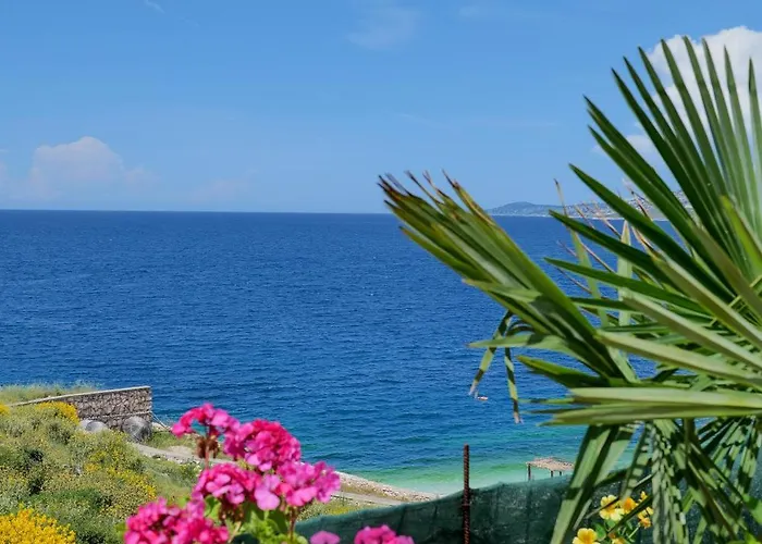 Armantis Daire Saranda