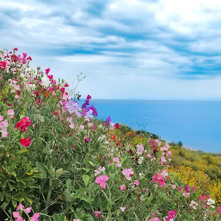 Armantis Apartmán Sarandë