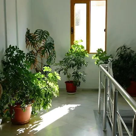 Apartment Armantis Sarande