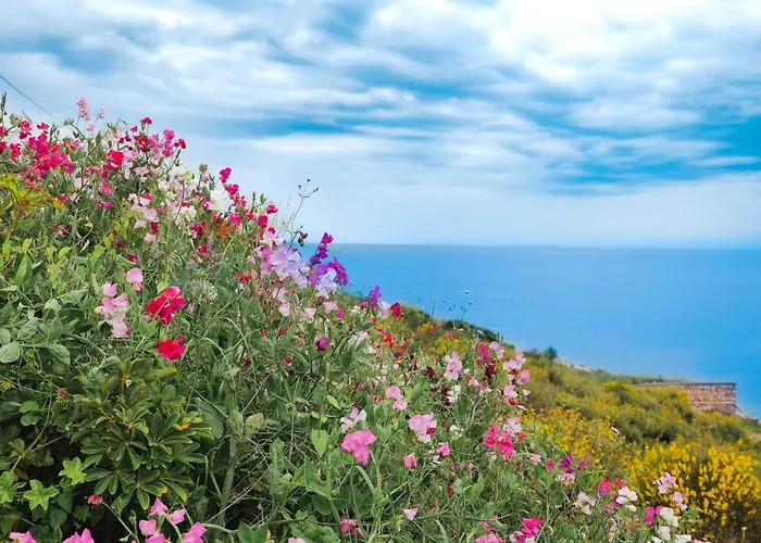 Armantis Lejlighed Sarandë